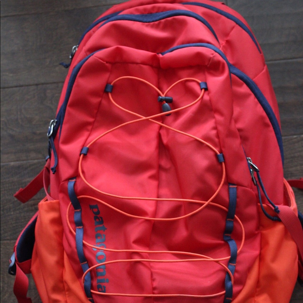 Patagonia Backpack